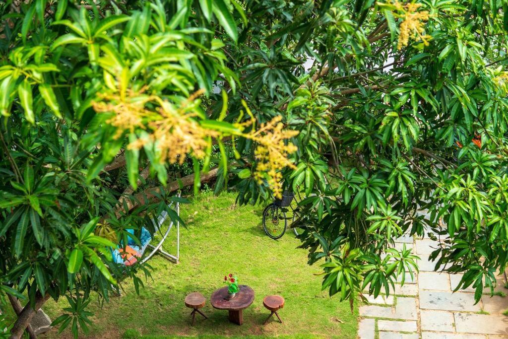 Flora Villa Hoi An Bagian luar foto